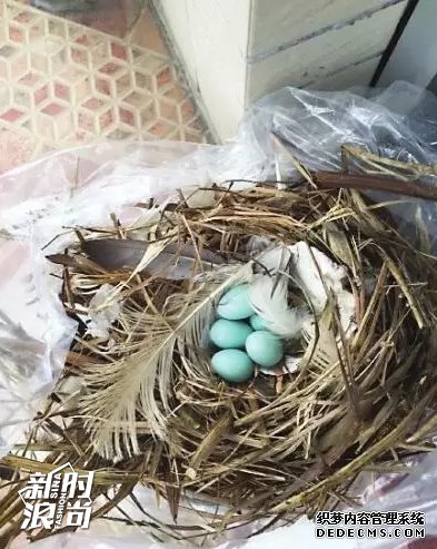 ֪������